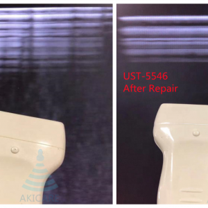 UST-9124 For HITACHI ALOKA SSD-3500/4000 Endocavity Transducer Ultrasonido Ultrasonic Sensor Ultrasound Probe REPAIR SERVICE Akicare